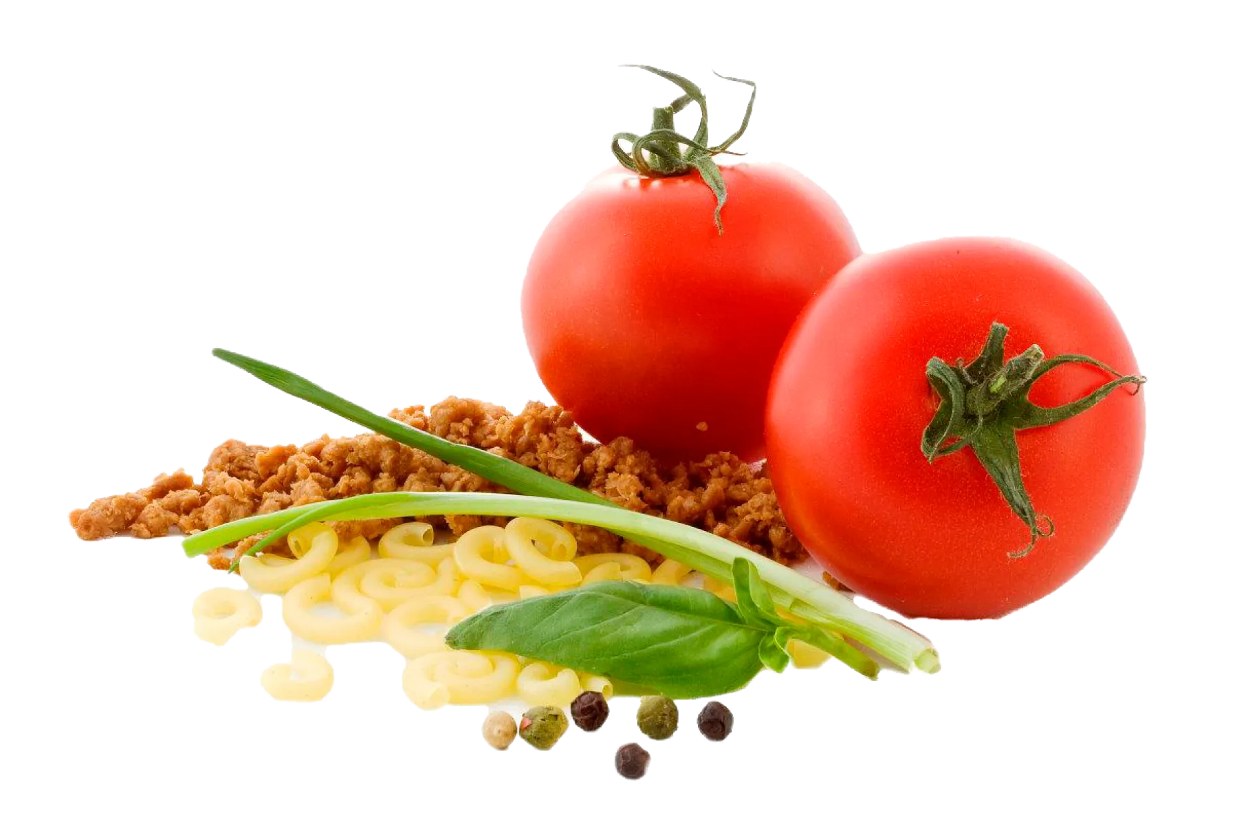 ADVENTURE FOODfrystorkad mat