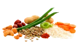 ADVENTURE FOODfrystorkad mat