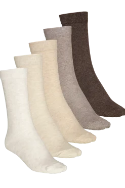 FRANK DANDYso 5p colorama u